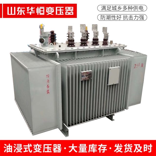 S13-10000/35定结定结定结电力变压器厂家